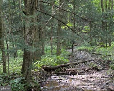 Land For Sale in ALUM BANK, PA