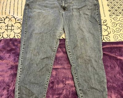 Lane Bryant Skinny Jeans, Size 26