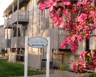 1 Bedroom 1BA 615 ft Pet-Friendly Apartment For Rent in Wichita, KS