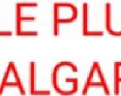 Reliable Plumbers Calgary
