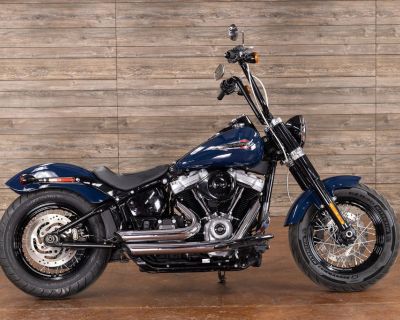 2019 Harley-Davidson Softail FLSL - Softail Slim