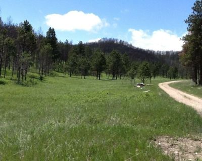 Land For Sale in Custer, SD