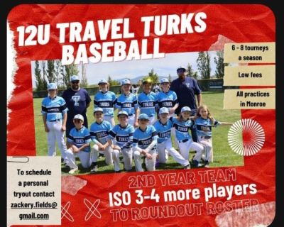 Baseball Turks 12u select team