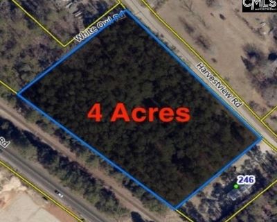 Harvest Vw, Chapin, Plot For Sale