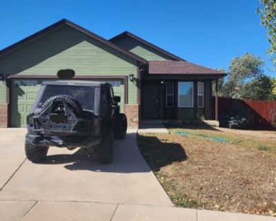 Micheal Vickers (Has a House) on iROOMit. Room in the 1 Bedroom 1BA Pet-Friendly...