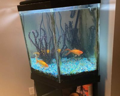 Fish tank and stand