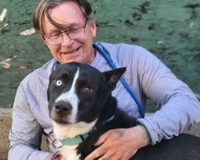 Thomas - Needs a House on iROOMit or a Room