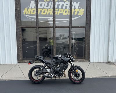 2023 Kawasaki Z650