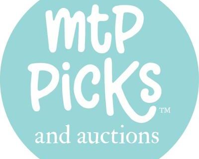 REASONABLE OFFERS SUNDAY! Mt P Picks in the Old Village with a Gorgeous View