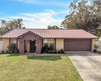 6 Bedroom 3BA 2718 ft Single Family Home For Sale in SEFFNER, FL