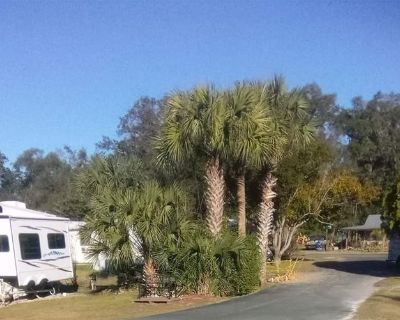 11665 S.E. 69th Terr. Southern Sun RV & Mobile Home Park is a friendly community where you ll meet long-term / permanent full-time residents along with snowbirds and a few short stay campers. Centrally located to Tampa, Orlando and Gainesville you will find many things to do whether you are working long term in the area or are on vacation. Come visit us. We'd love to have you join our community...