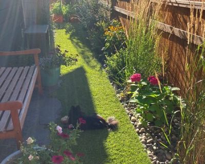 3BD 2BA Urban Oasis Dec 1