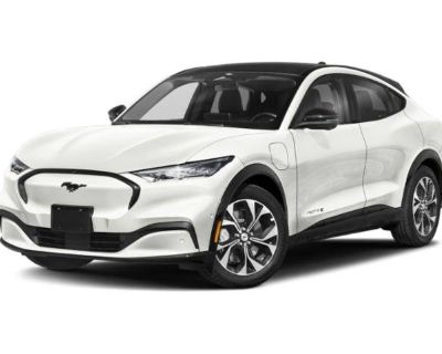 1 previous owner(s). Mileage: 0. SUV. Fuel Type: Electric. Come see this 2023 Ford Mustang Mach-E Premium while we still have it in stock!*You Can't Beat the Price with These Options *ENGINE: DUAL EMOTOR (FRONT/REAR) (EAWD) -inc: 91kWh usable capacity extended range high-voltage battery, Wheels: 19 Shadow Silver-Painted Aluminum -inc: high gloss black-painted aero cover, Wheels w/Full Wheel Cov...