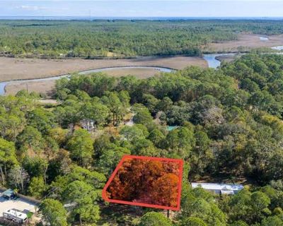 Unimproved Land For Sale in CODEN, AL