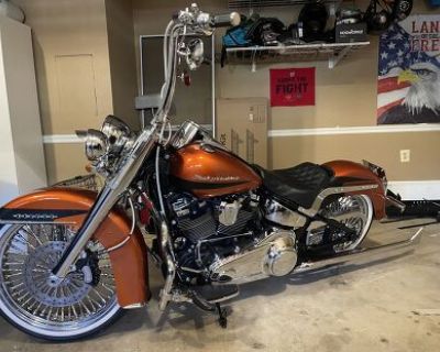 2019 Harley-Davidson Softail