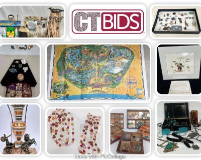 CTBIDS WH Online Auction | May. Vol. 4 | Ends: M-05/29 | PU: W-05/31, 9a-2pm | 85713