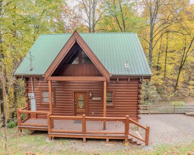 1 Bedroom 1BA 1037 ft Single Family House For Sale in Sevierville, TN