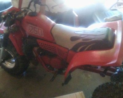 82 honda 250r runs needs carb work 500 takes it