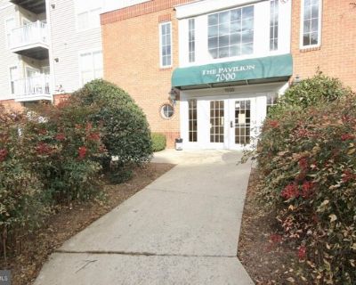 Falls Reach Dr Apt,falls Church, Condo For Rent