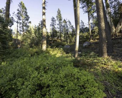 Land For Sale in SODA SPRINGS, CA