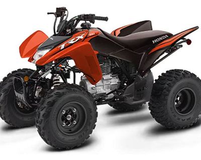 2024 Honda TRX250X ATV Sport Rutland, VT