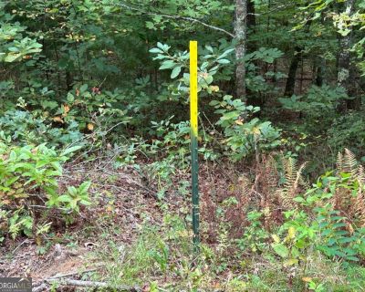 1 Bedroom Vacant Lot For Sale in Mccaysville, GA