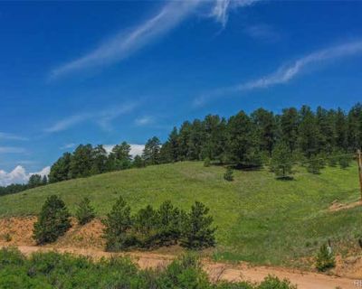Unimproved Land For Sale in FLORISSANT, CO