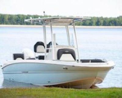 2024 Stingray 216CC