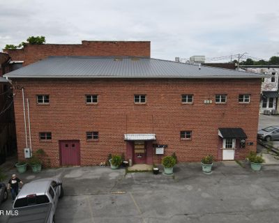 3151 ft Commercial Property For Sale in Erwin, TN