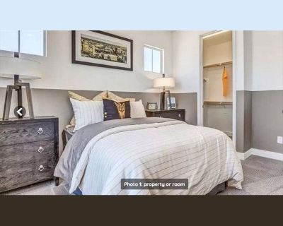 Room for Rent in 4 bedrooms House, Tempe, Arizona