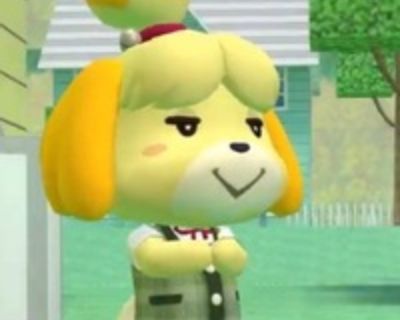 Amaya R is looking for a New Roommate in Boston with a budget of $800.00