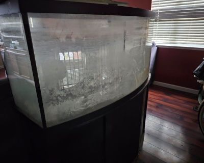 55 gallon glass bow front aquarium