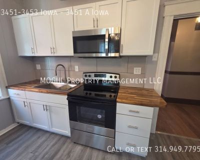1 Bedroom 1BA 950 ft Pet-Friendly Apartment For Rent in St Louis, MO