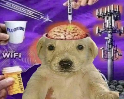 $600 /month. Age: 21 * Any pets?: No * Occupation: Student * Gender: Female. Non-smoking room preferred. Pets are fine. No preference specified. Age preference: 18 - 99. Looking in: Central Phoenix , East Valley , North Phoenix , Scottsdale , South Phoenix , West Phoenix , West Valley. Hey there! Looking for a roommate in Phoenix? I m Lain, a 21-year-old student, and I'm hoping to find a room t...