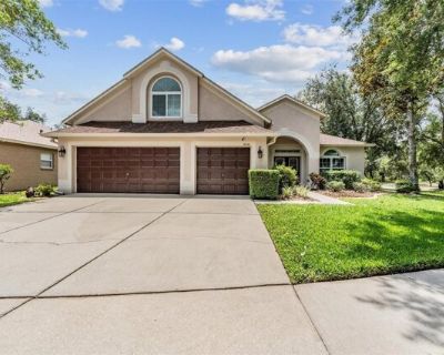 Palomaglade Dr, Lithia, Home For Sale