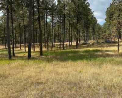 Single Family Home For Sale in CUSTER, SD