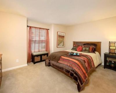 2 Bedroom 2BA 955 ft Pet-Friendly Apartment For Rent in Manassas, VA