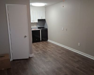 Chris (Has an Apartment) on iROOMit. Room in the 1 Bedroom 1BA Pet-Friendly...