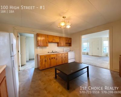 1 Bedroom 1BA Pet-Friendly Apartment For Rent in Lock Haven, PA
