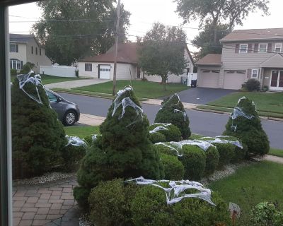 We have an active neighborhood to say the least. Perfect in the summer and fall for an relaxing oasis poolside. We have a large bedroom on the main floor. We enjoy staying active with biking, swimming, working out, yoga, gardening, and much more! Wonderful area close to new york city and the jersey shore.. 1 Bedroom. 1 Bathroom