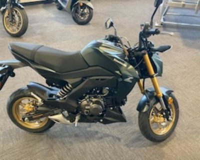 2025 Kawasaki Z125 Street Bike Elkhart, IN