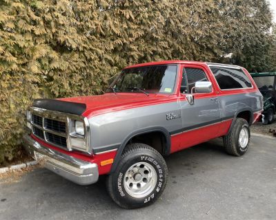 1992 Dodge Ramcharger Automatic Transmission