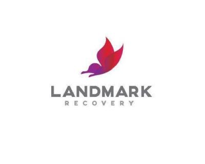Landmark Recovery