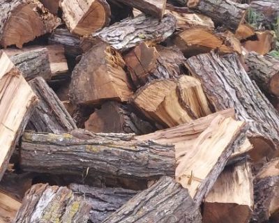 Red & White Walnut Fire wood by Alaska's Boom-n-Cut