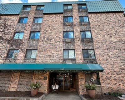 2 Bedroom 1BA 1100 ft Condo For Rent in Chicago, IL