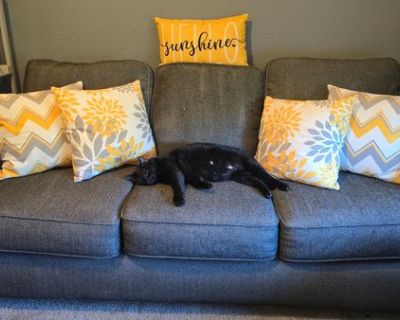 Jelane (Has a House) on iROOMit. Room in the 5 Bedroom 4BA House For Rent...