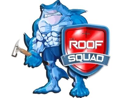 Roof Care and Maintenance in Carmel, IN: Ensuring Long-Lasting Protection for Your Home