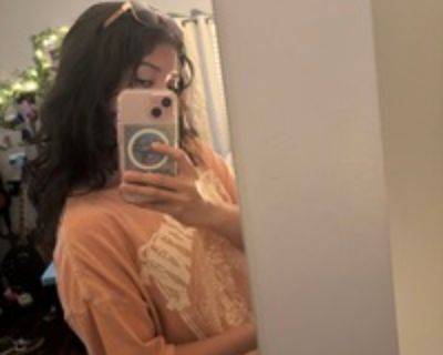 Joe M is looking for a New Roommate in Houston with a budget of $500.00