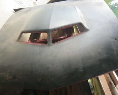 1970 AMX hoods