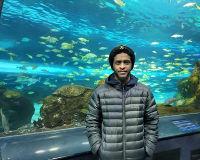 michael - Needs an Apartment on iROOMit or a Room